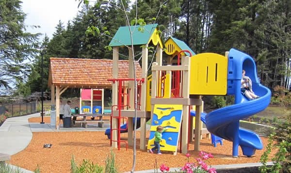 Wilder II Play Structure