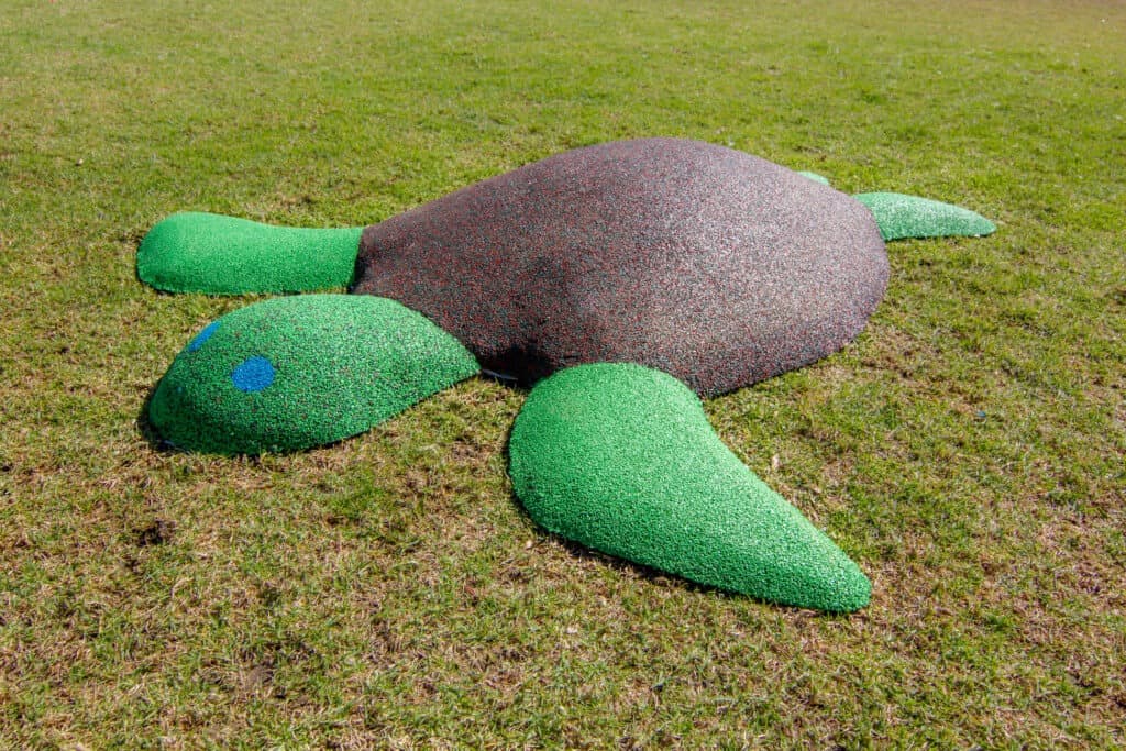 PIP Turtle