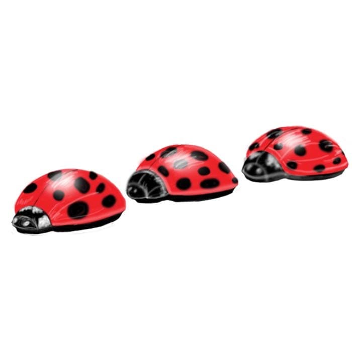 Lady Bug Pod Hoppers
