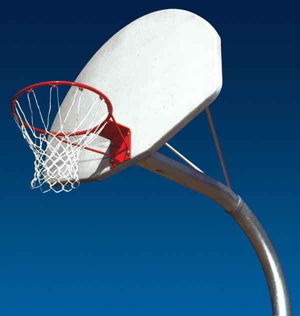 Goose Neck Basketball Set