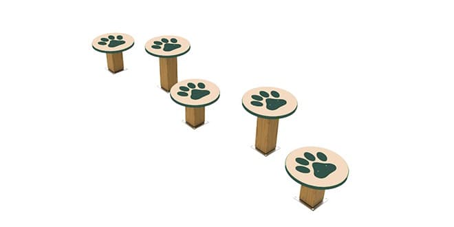 Dog Park Stepping Paws
