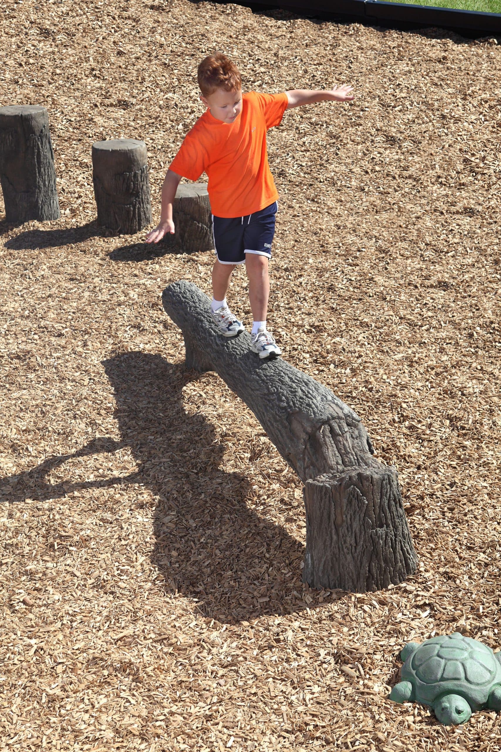 8′ Fallen Tree Balance Beam