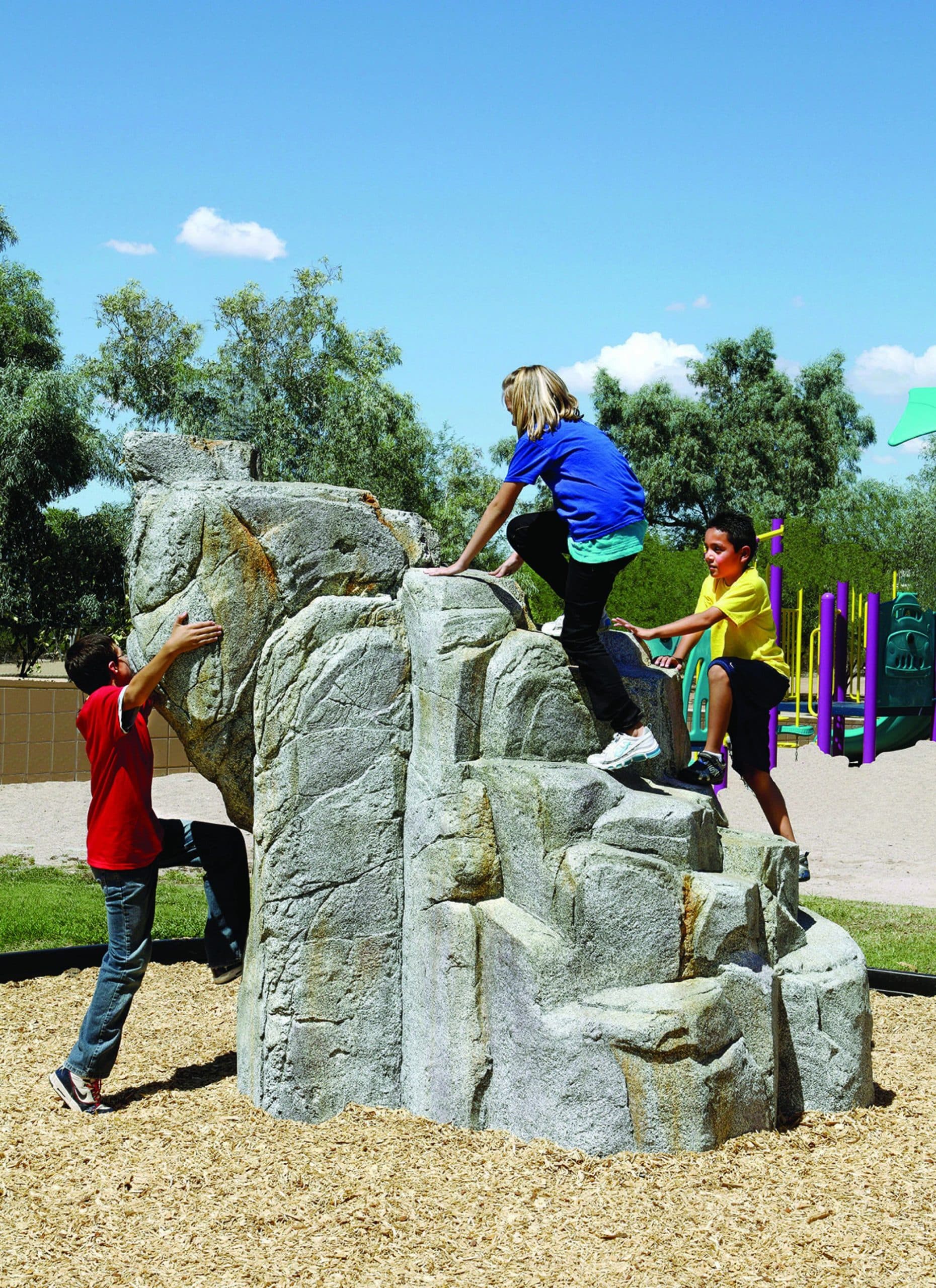 Medium Granite Boulder