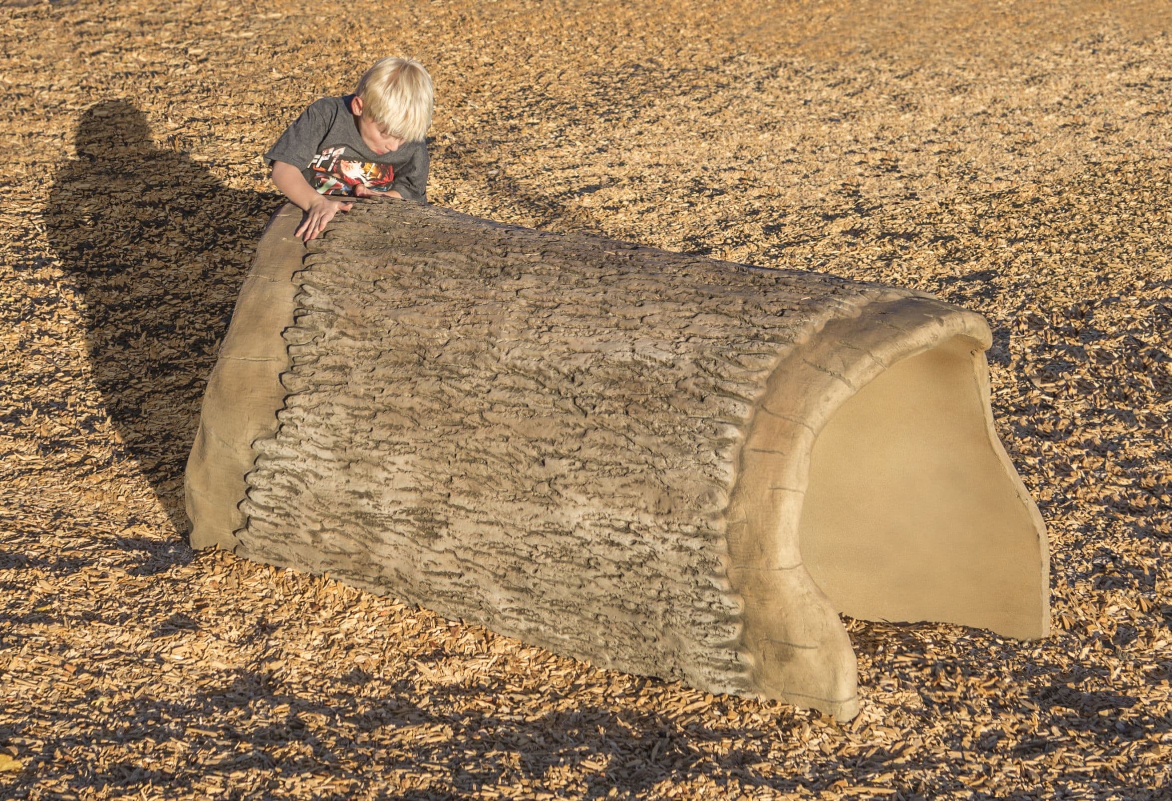 6′ Log Tunnel