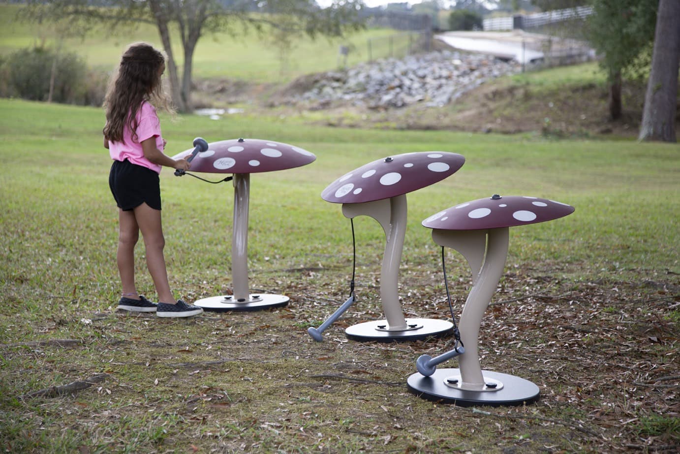 Mushrooms