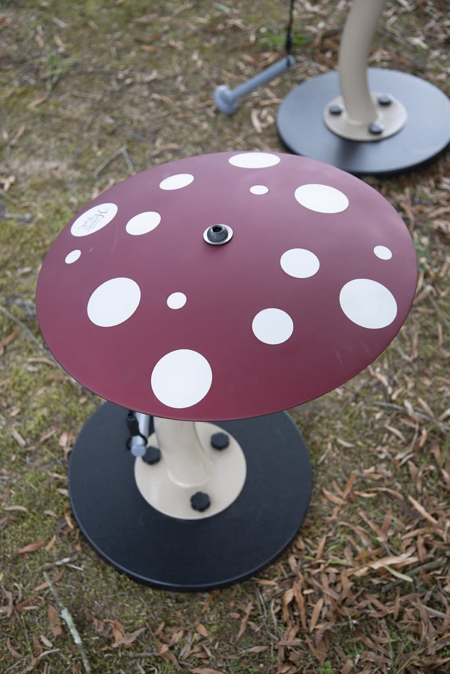 Mushrooms