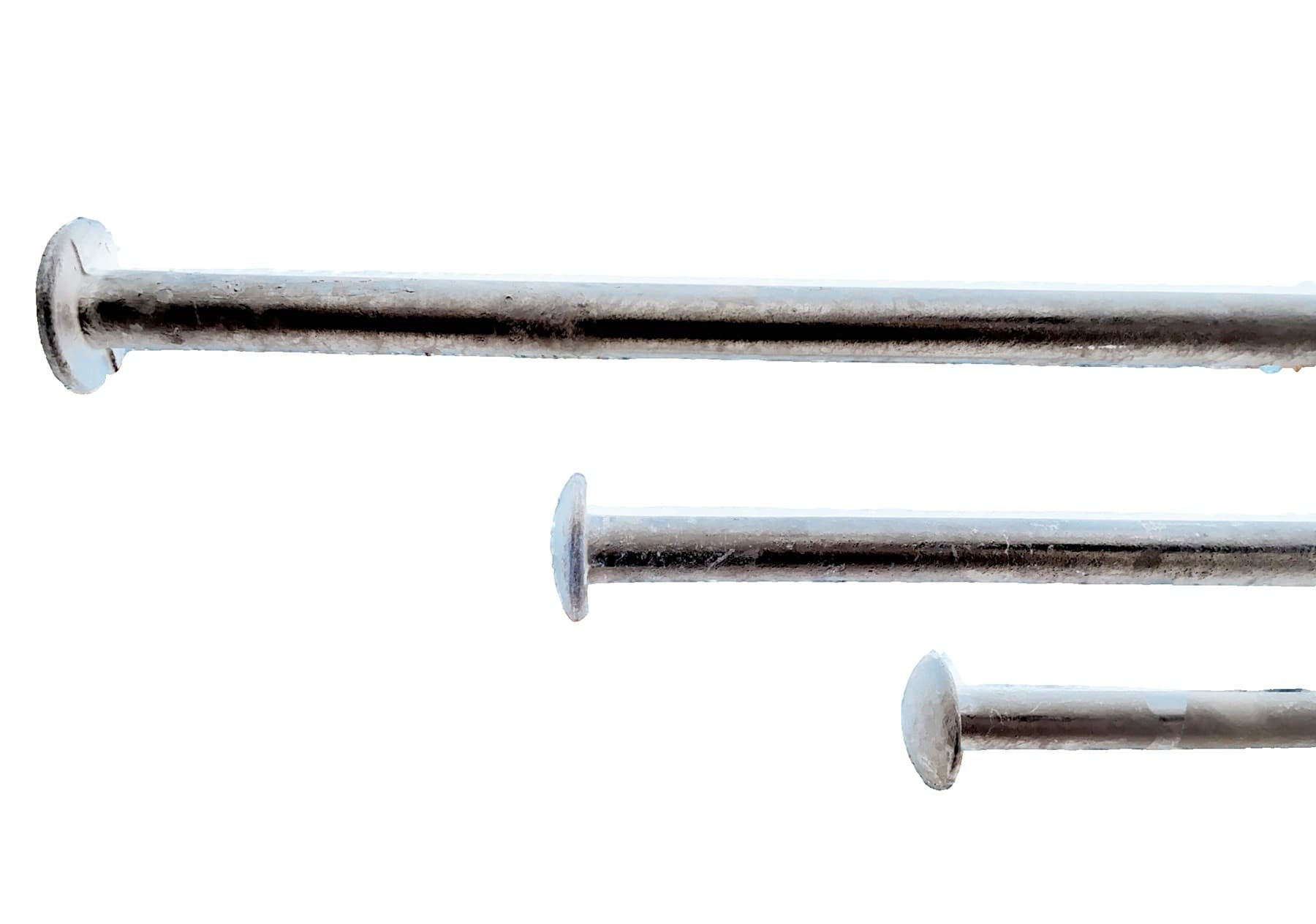 Border Timber Spikes