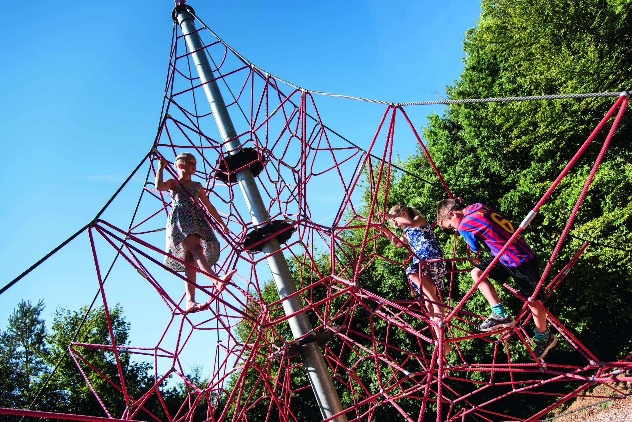 Spider Climber 8-6