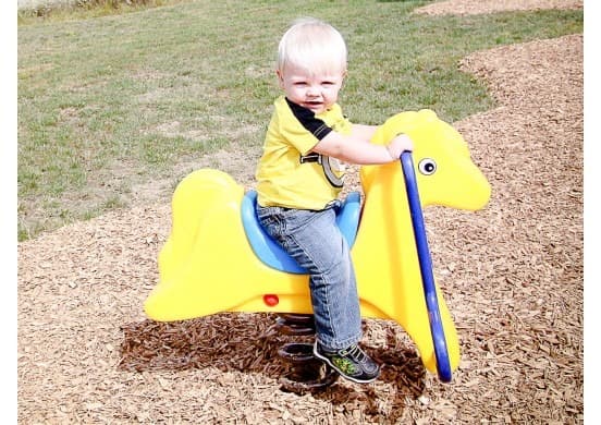 Polly Pony Spring Rider
