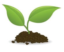 Sustainable-Earth-1