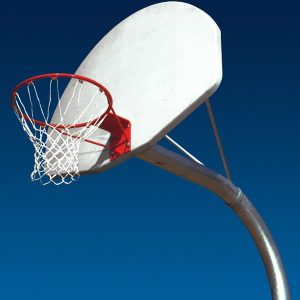 Goose Neck Basketball Set
