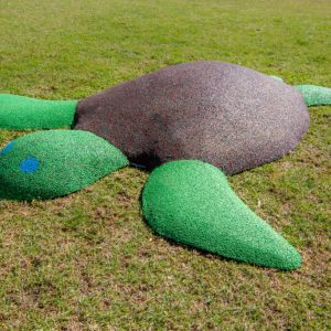 PIP Turtle