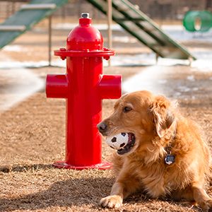 Misting Fire Hydrant