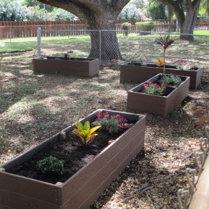 Raised Planters