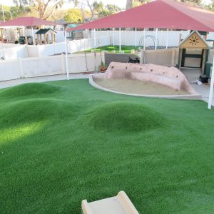 Turf Moguls