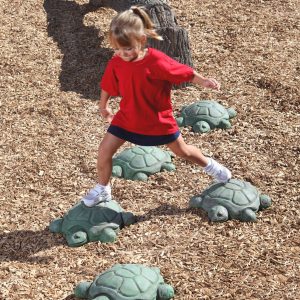 Stepping Turtles