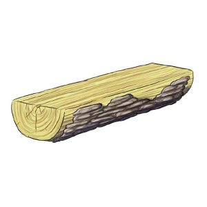 Half Steady Log