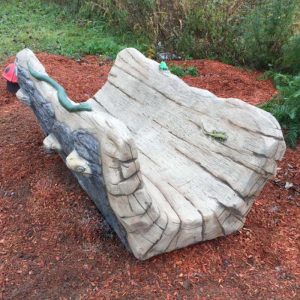 Hollow Log