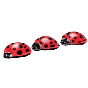 Lady Bug Pod Hoppers