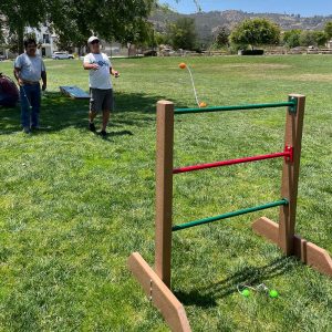 Ladder Toss