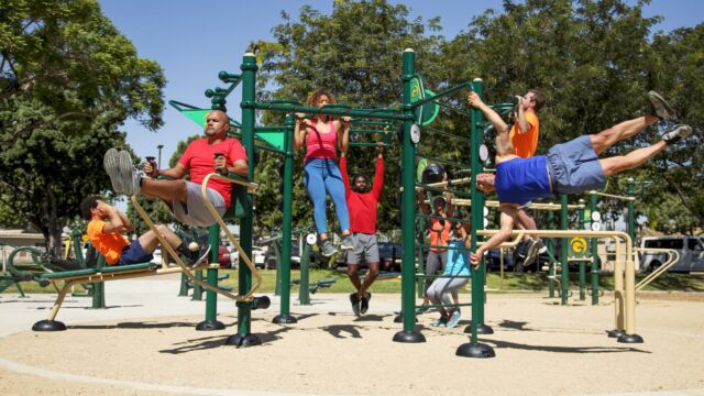 Hexagon Extreme Functional Fitness Rig