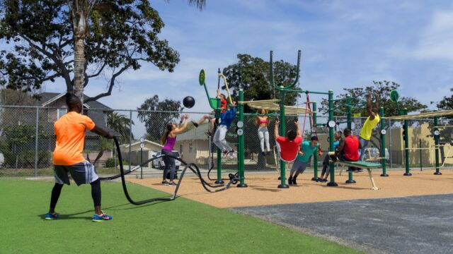 Functional Fitness Rig